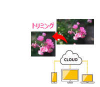 ZOOMでオンラインミーティングをやってみよう！